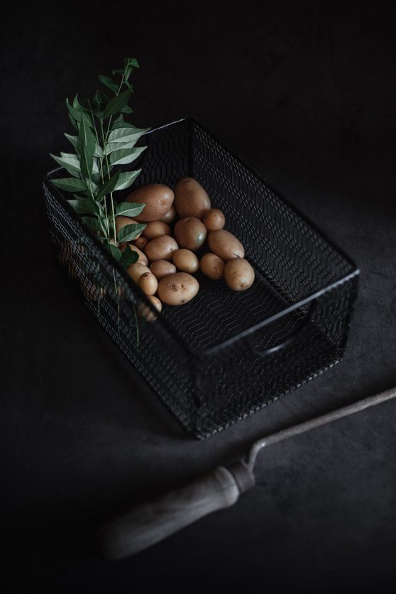 Ingredient photography Potato