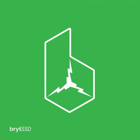 SSD logo